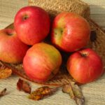 Anna Boelens, herkomst: Nederland, 1934, kweker: S. A. Blijstra (Nederlandsche Fruitsoorten, Nederlandsche Heide-Maatschappij, 1942)