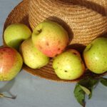 Huismanszoet (appel)