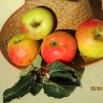Blenheim Orange (appel)